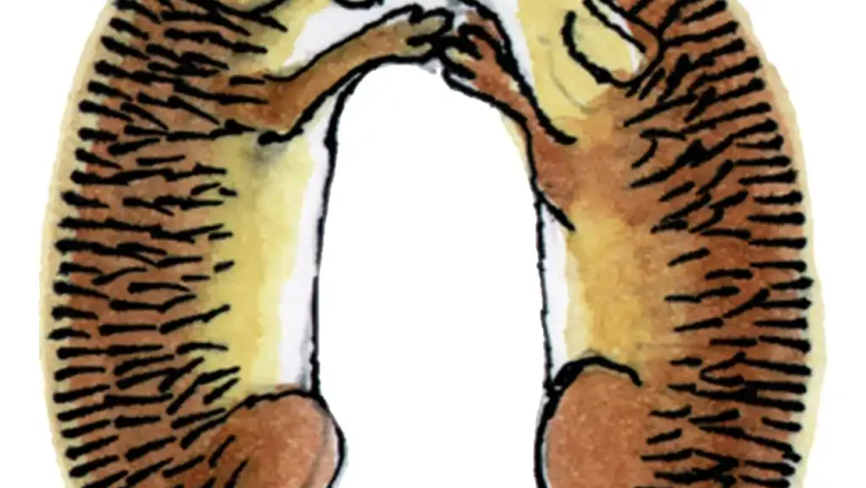 «Ո» տառի ուսուցում