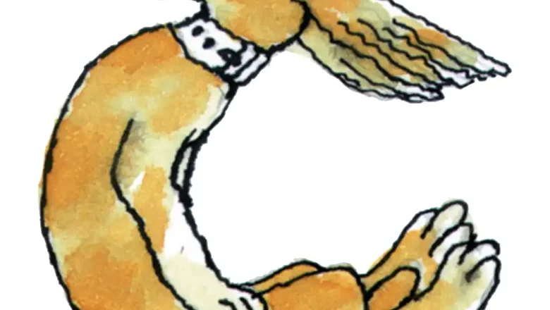 «Շ» տառի ուսուցում