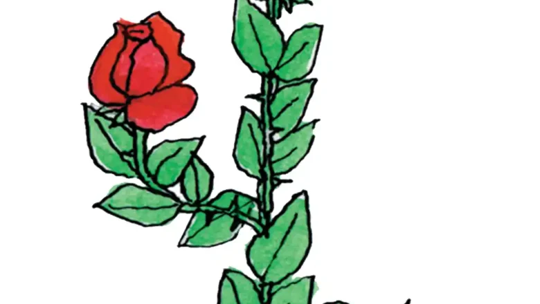 «Վ» տառի ուսուցում